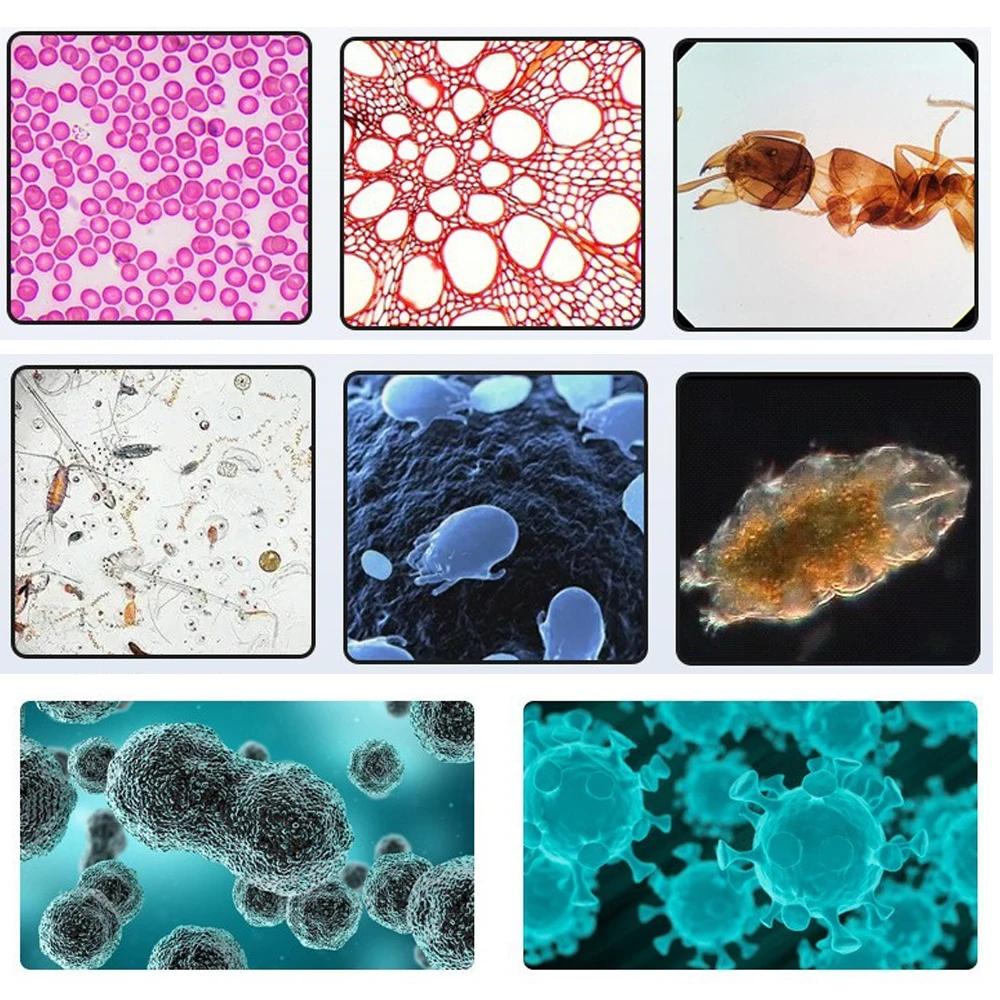 Оптический монокулярный биологический микроскоп 40X-4000X HD для фотографии средней