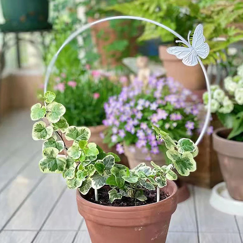 

Уличная железная стойка-подставка для лозы, держатель для крепления рамы для подъема цветов