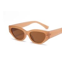 2022 fashion polygon sunglasses women men cat eye sunglasses gafas de sol eyeglasses outdoor uv400 oculos feminino eyewear new