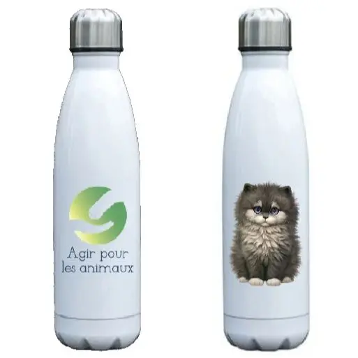 Термос-Кола 500 мл с логотипом на заказ обеих сторон