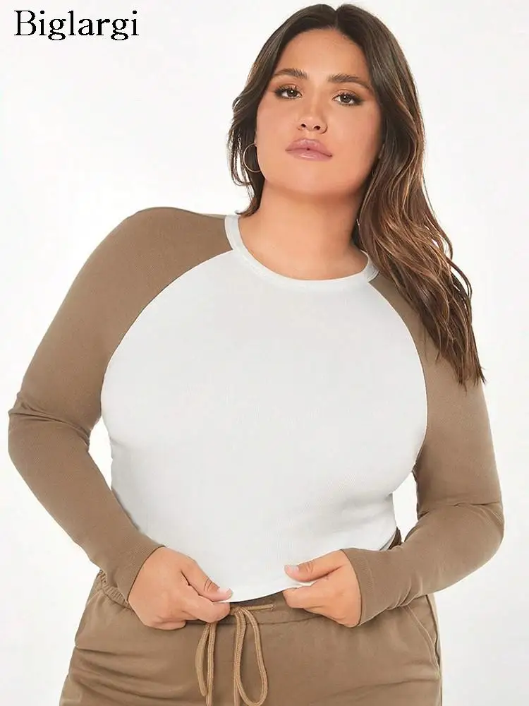 

Женский трикотажный пуловер с длинным рукавом, в стиле пэчворк