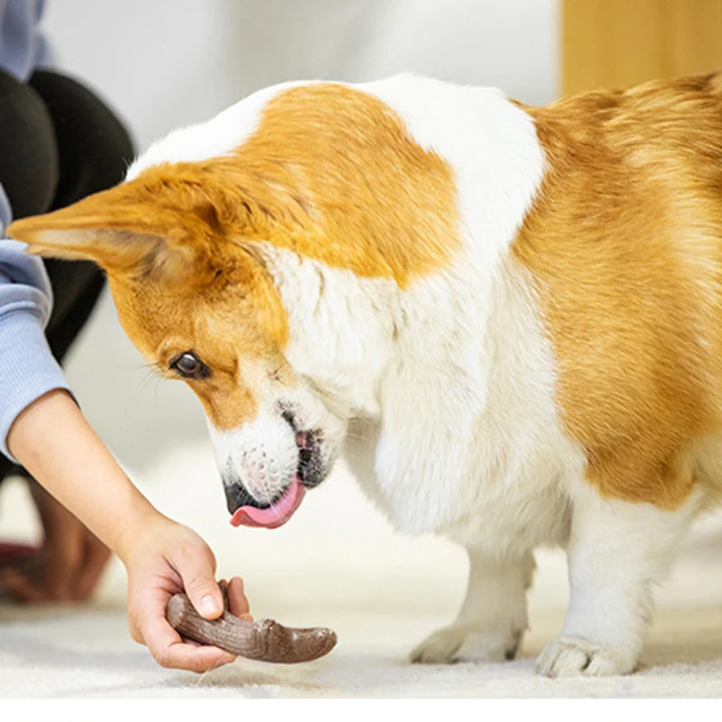 Игрушки Для Жевания Из Настоящего Дерева С Рогами Оленя Собак Прочные
