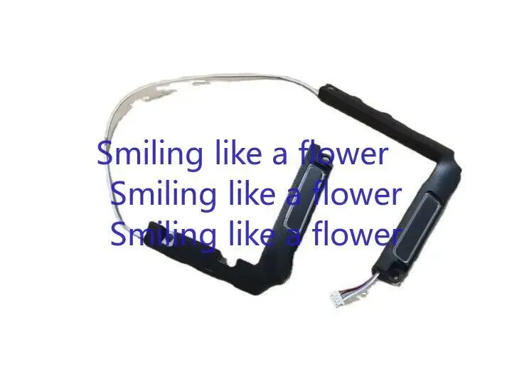 Динамики для ноутбука WYORESY