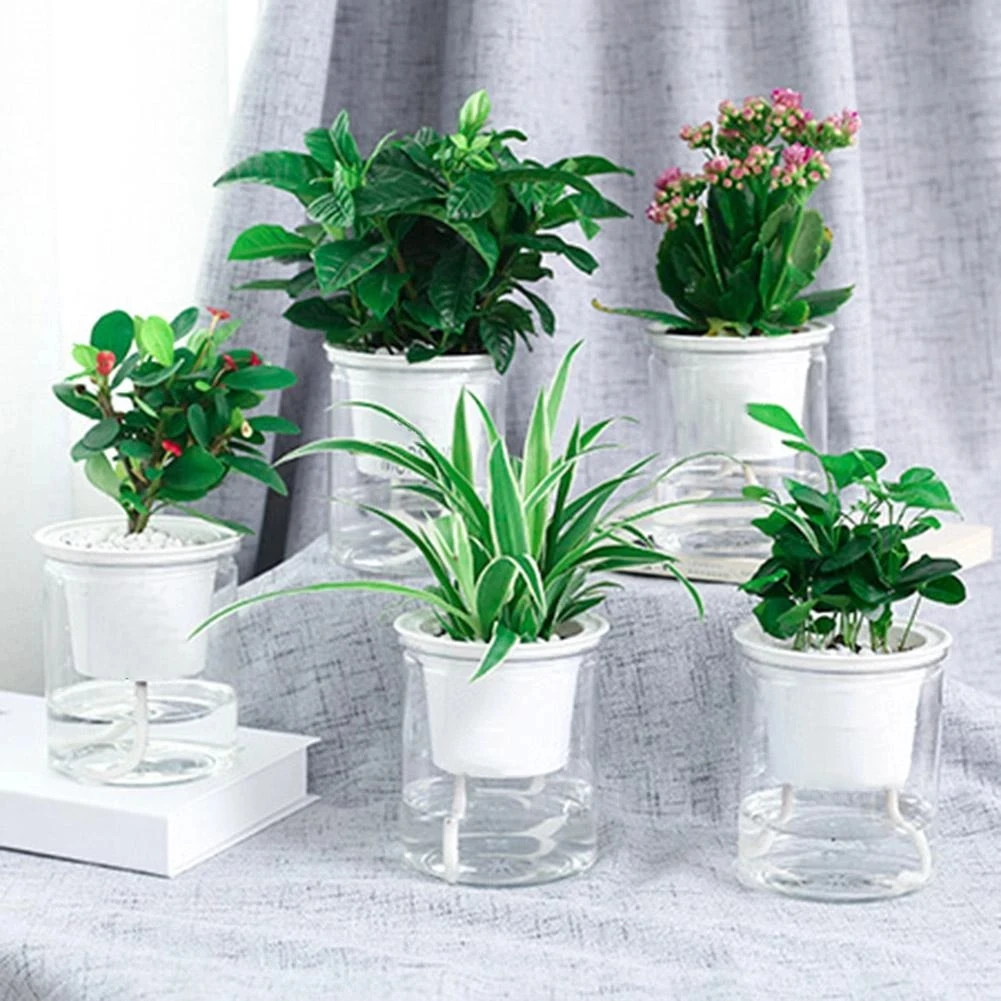 

Automatic Water Absorption Self Watering Hydroponic Flower Pot Planter Plastic Plant Pot Transparent Flowerpot for Flowers FU