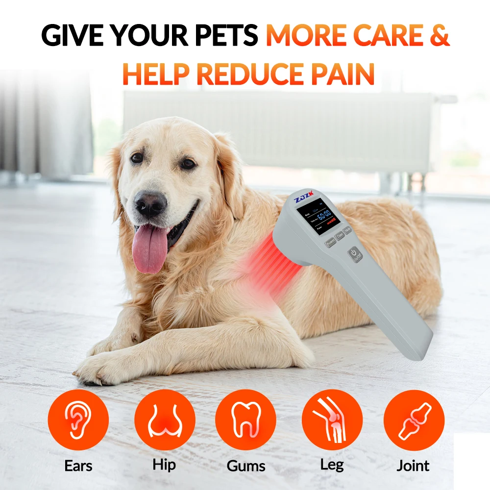 

4×808nm Level Cold Laser Therapy Physiotherapy Infrared Laser Therapy Pain Laser Therapy Device Pets