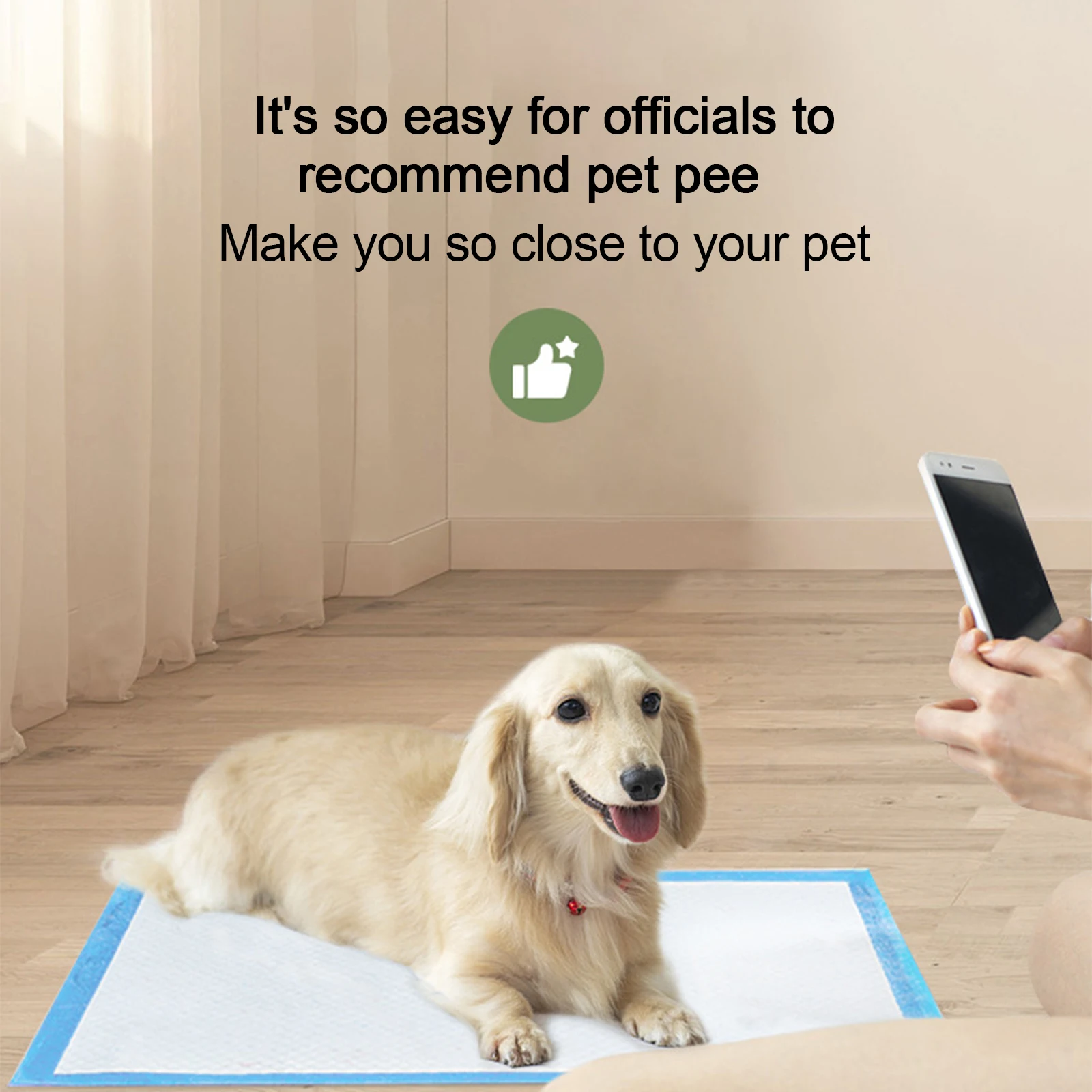 50Pcs Super Absorbent Pet Diaper Dog Training Pee Pads Disposable Urine Nappy Mat For Cats Diapers Cage Supplies |