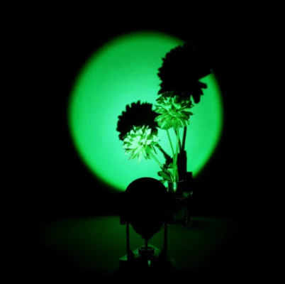 

Led Sunset Projection Lamp Rainbow Atmosphere Night Light Sunset Light Home Coffee Shop Background Wall Decor Tiktok Table Lamp
