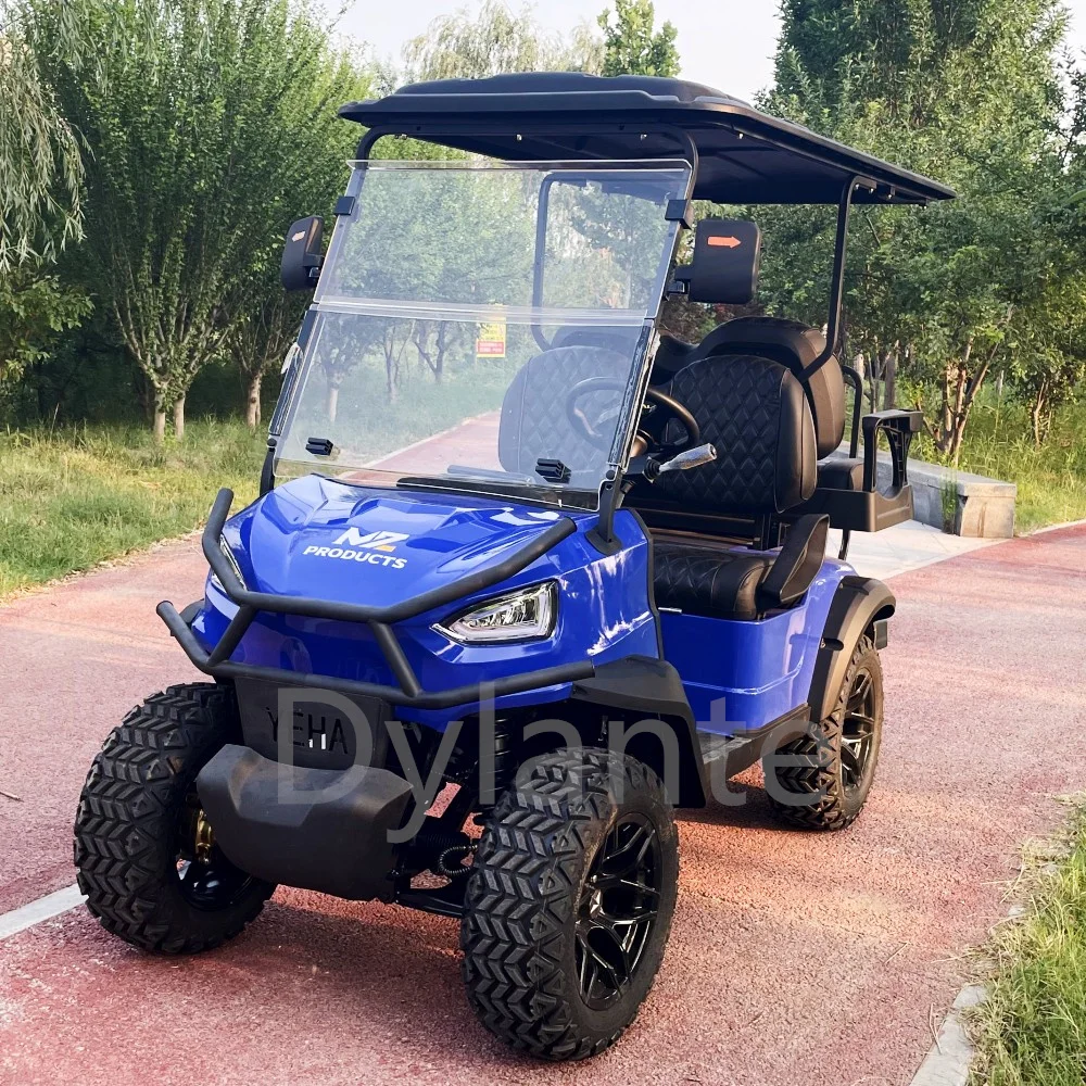 Buggy 5000w Motor Off Road Golf Carts With Storage Box