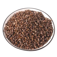 cassiajuemingzi semen cassiaechinese herbal medicine