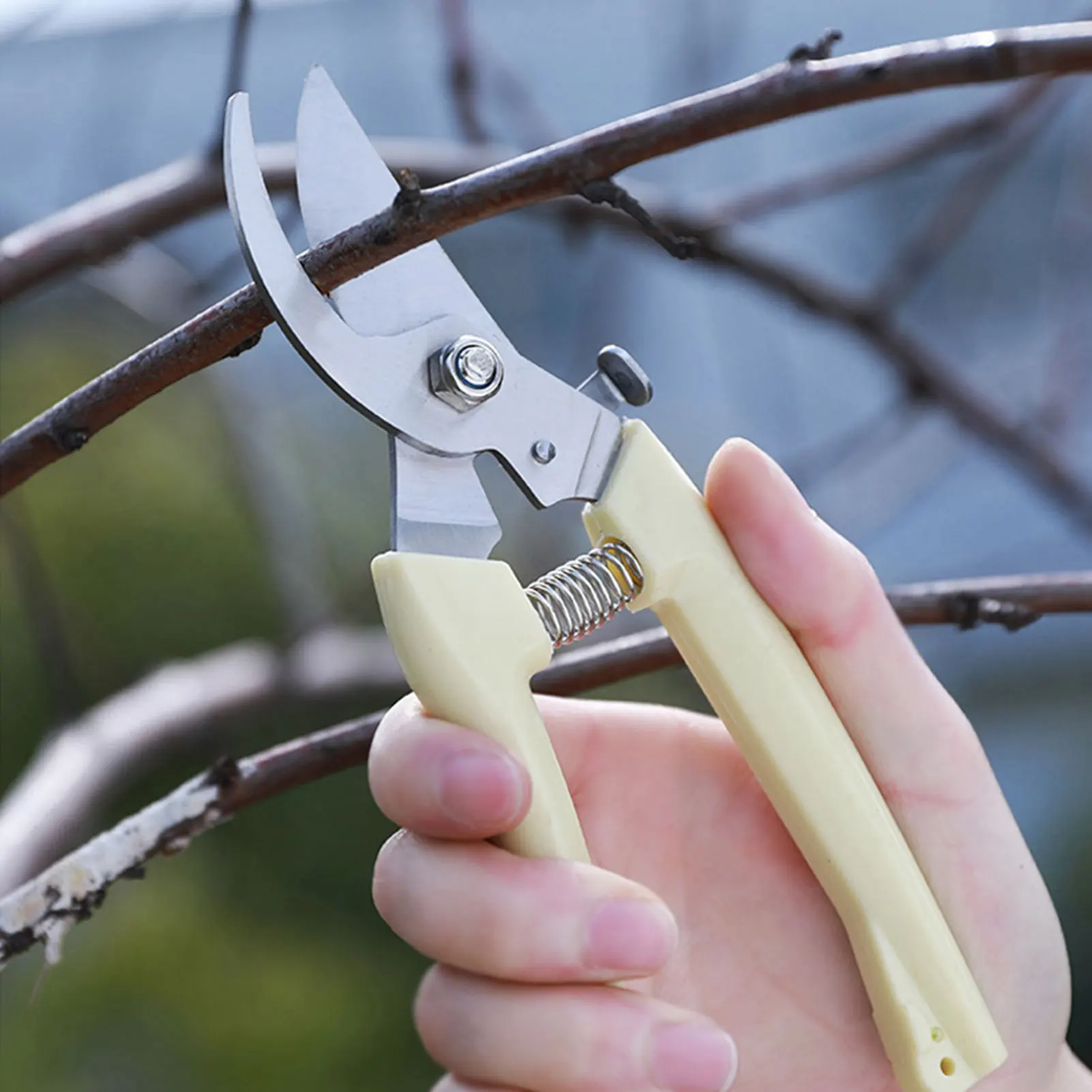 

Portable Pruner Orchard and The Garden Hand Tools Bonsai For Scissors Gardening Machine Chopper Pruning Shears Brush Cutter