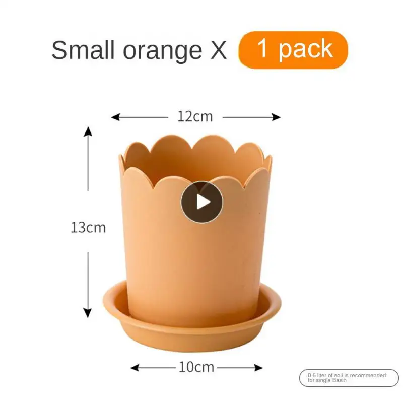 

Petal Mouth Flower Pot Natural Resin Resin Potted Plant Multiple Colors Simple Fashion Small Flowerpot Fresh Fleshy Potted Plant