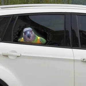 Наклейка на окно Сенегал попугай 3D наклейка