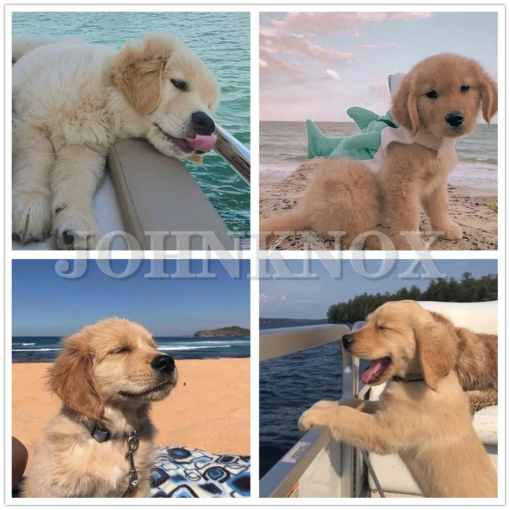 

Puppy Animal 5D Diy Diamond Painting Full Drill Pet Dog Diamond Embroidery Rhinestones Cross Stitch Handmade Mosaic Wall Sticker