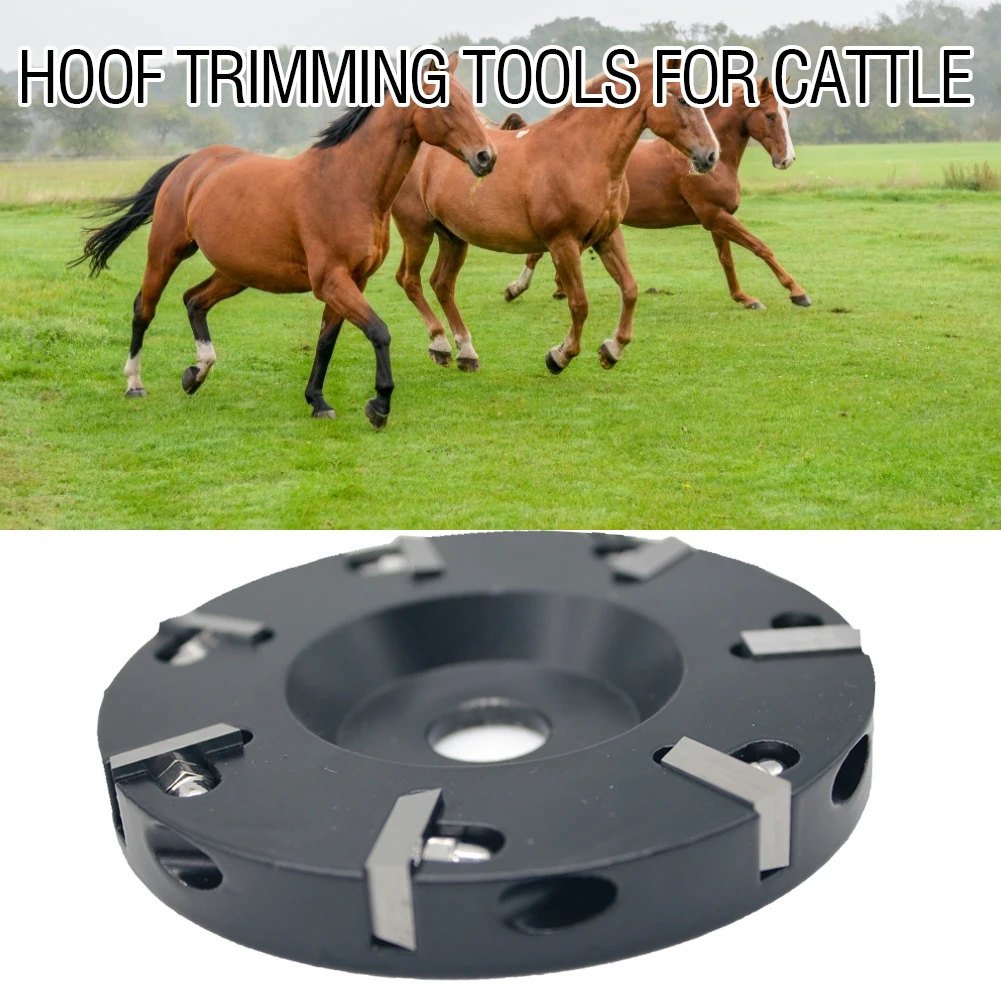 

Livestock Sheep Hoof Trimming Cutter Disc for Repairing Cow Cattle Horseshoe Repairing Cattles Horseshoe Angle Grinder Hand Tool