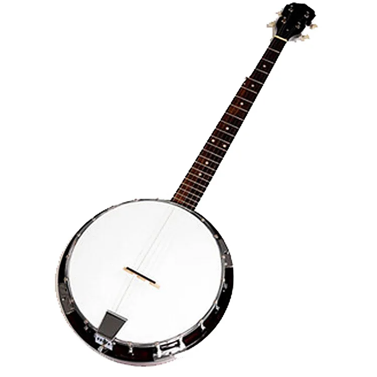 

banjo,5 strings banjo,strings musical instruments