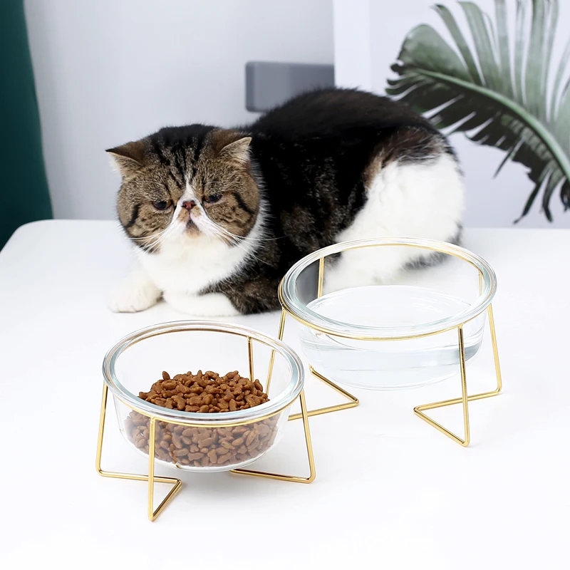

Cat Bowl Glass Water Drinking Drinker Feeder Food Feeding Dispenser Chats Dogs Goods for Cats Accessories Animal Supplies