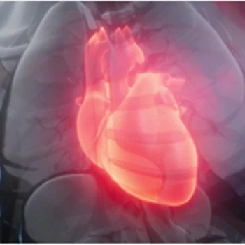 Анализатор крови гемограмма анализатор гематологии цена