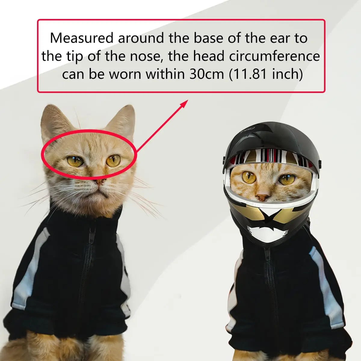 Pet Helmet Hard Hat for Small Dogs Motorcycle Bike Cat Outdoor Riding Puppy Cap Full Face Dog Doggie