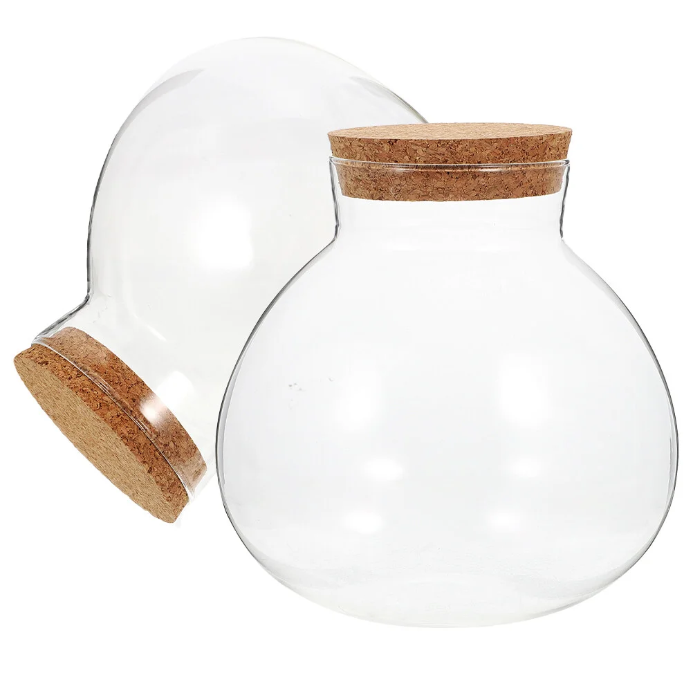 

Household Products Glass Canister Terrarium Microlandscape Ecological Bottle Moss Crafts