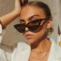 2021 fashion sunglasses woman brand designer vintage retro triangular cat eye glasses oculos de sol transparent ocean uv400