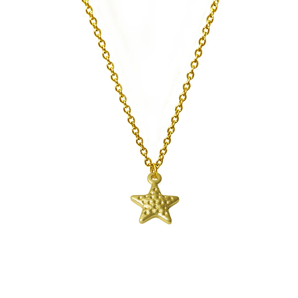 

Fashion Exquisite Star Pendant Necklace for Women Girls Stainless Steel Starfish Necklace Romantic Anniversary Gift To Her