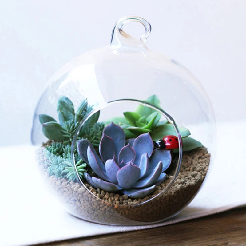 Clear Flower Hanging Ball Vase Planter Terrarium Container Borosilicate Glass for Succulent Planting Home Wedding Decor Gift 8cm images - 6