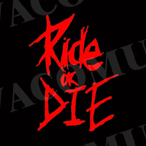 

Наклейка на раму велосипеда Ride Or Die Top Tube Наклейка на велосипедные наклейки Декоративные наклейки на рамку Велосипедные наклейки Наклейка на велосипед для всех автомобилей