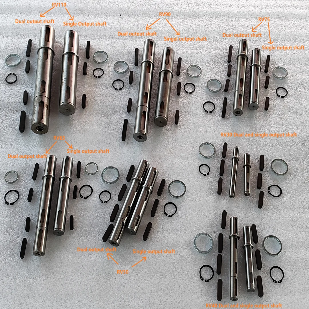 CHENYUE одинарный двойной выходной вал для червячной коробки передач редуктор