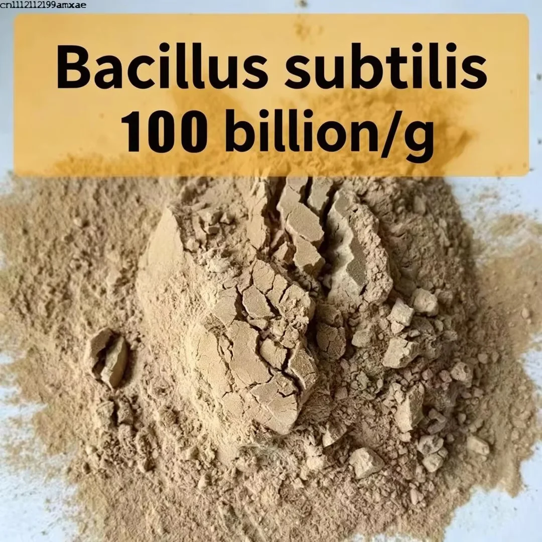 Фото Высокочистый Bacillus Subtilis для роста растений, очистки воды и в качестве органического удобрения для корма скота №2