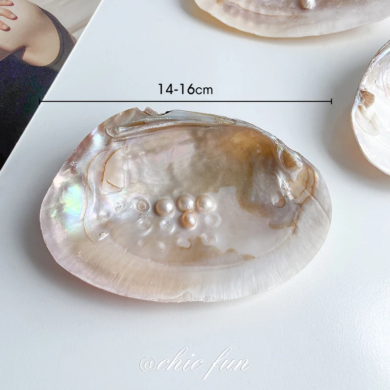 

Натуральная ракушка тарелка Ins Style