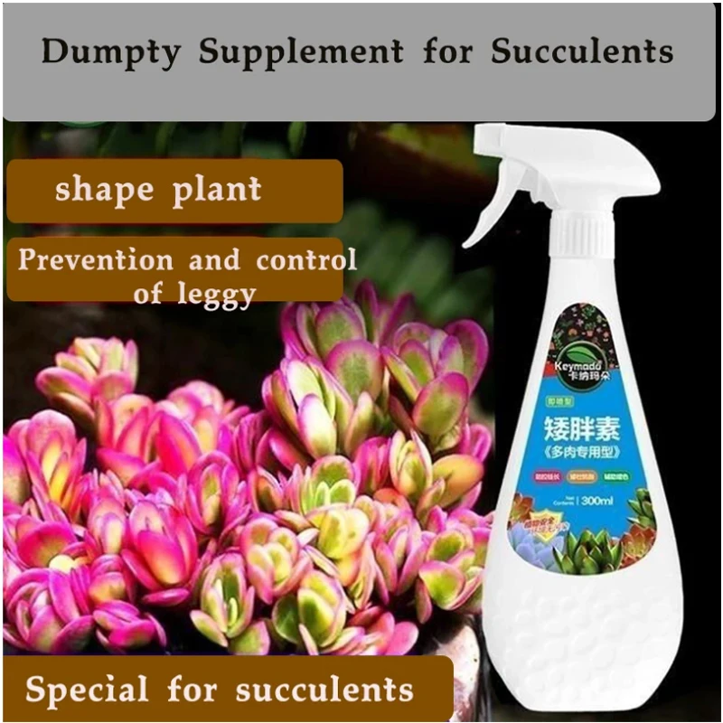 

Succulent plant Eugenin promotes budding, dwarf fat, prevents leggy organic granules, succulent, and succulent 300ml