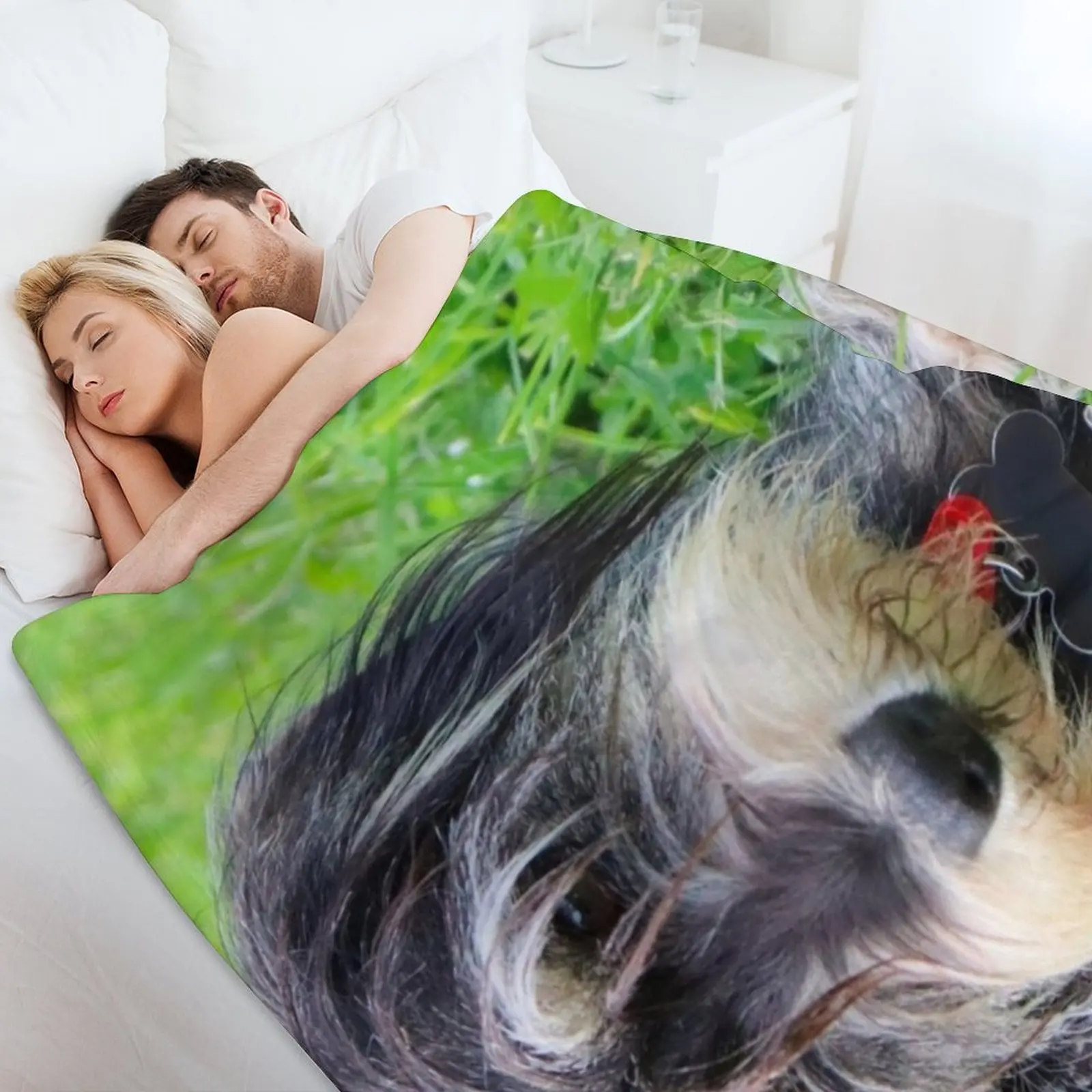 Миниатюрный шнауцер собака Белла Плед Путешествия Пляж Мягкие кровати для