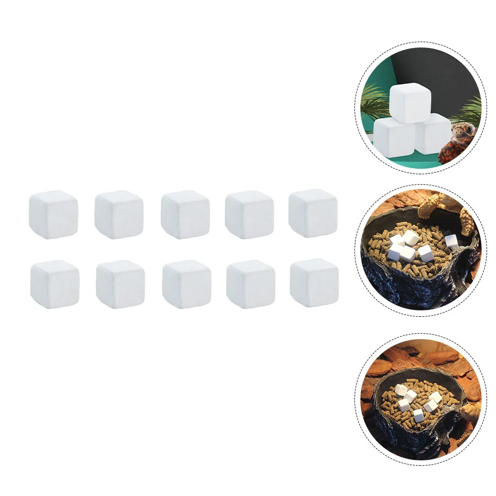 

24 Pcs Turtle Toys Aquarium Mineral Rocks Bead Animals Lava Square Stone Toys Turtles Reptiles Molar Stone Snails Turtle Teeth