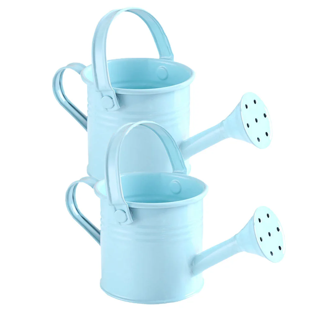 

2 Pcs Watering Can Metal Water Jug Indoor Watering Can Flower Watering Can Kids Hydroflask