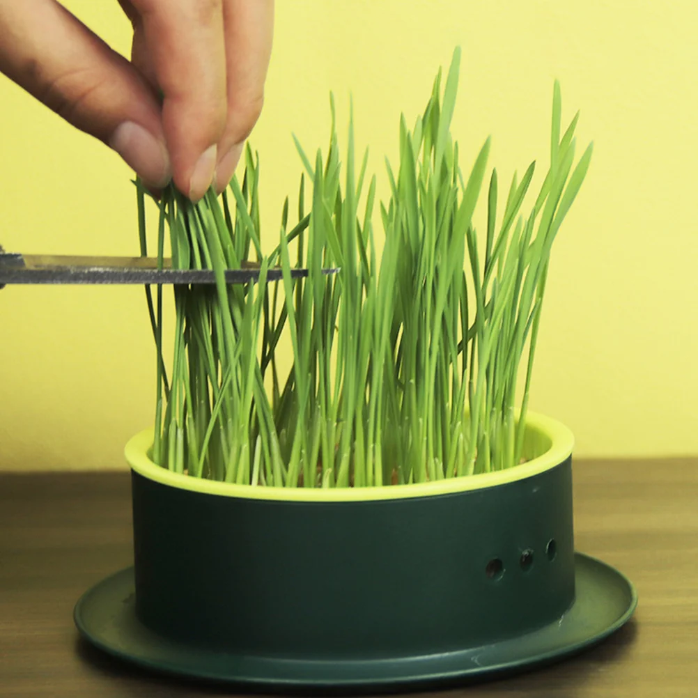 

2pcs Cat Catnip Germination Tray Cat Grass Planter Cat Grass Hydroponic Box Planter Holder