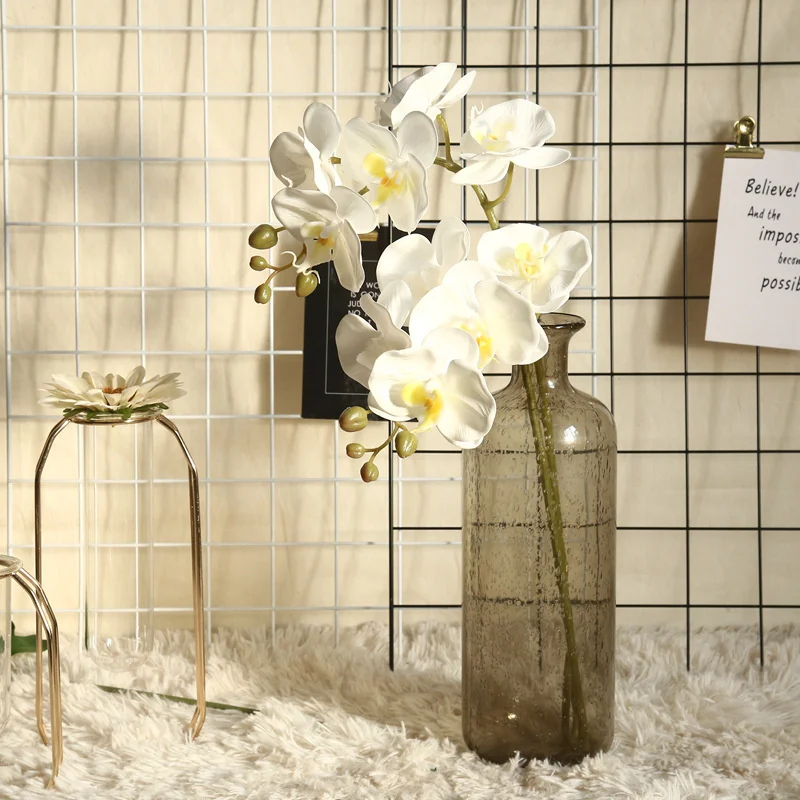 

Film Phalaenopsis Flower Arrangement Simulation Plant Bonsai Decoration INS Wind Rose MW18905