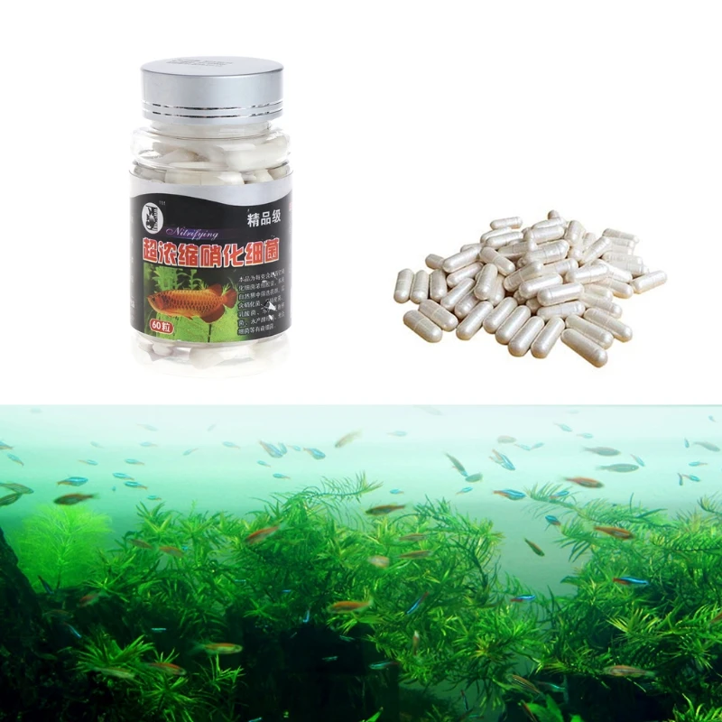 

60 Pcs Nitrifying Bacterias Capsules for Freshwater and Marine Water Fish for Tank Aquarium Concentrated Dry Powder