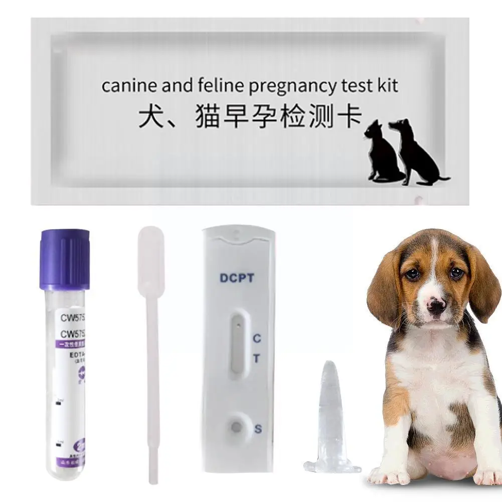 

Canine Feline Early Pregnancy Test Strips Kit Blood Serum Method For Pet Dog Cat Husky Corgi Golden Retriever Test G0D9