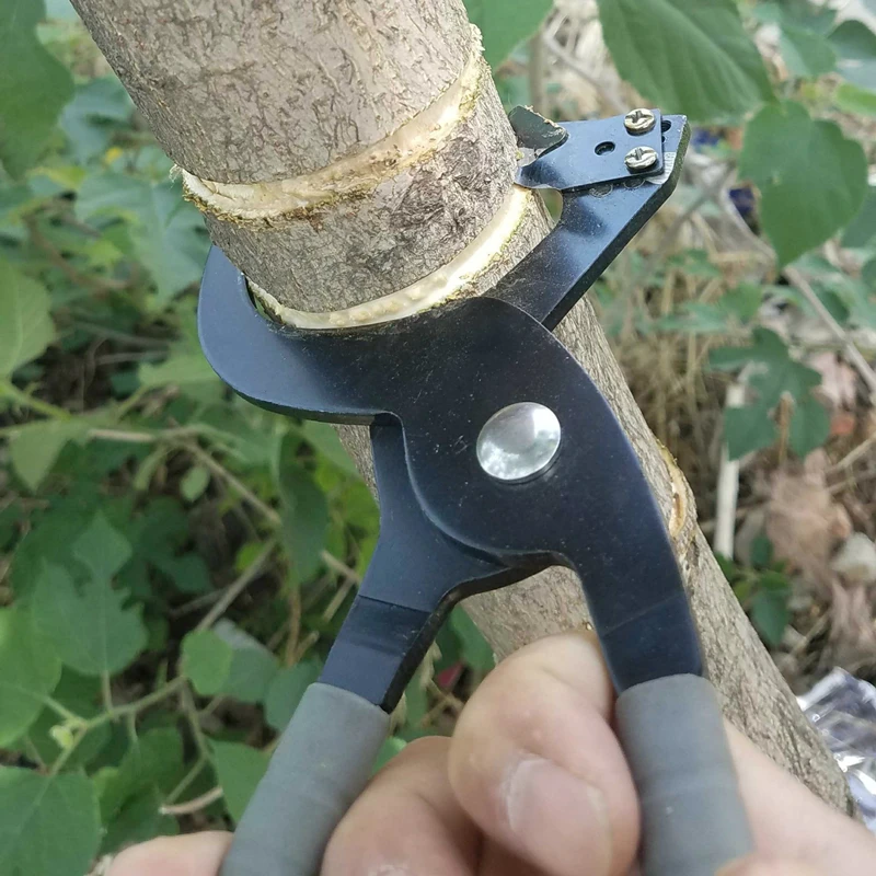 

Fruit Ring Tree Stripping Pliers High Hardness Peeling Knife Cutting Bark Ring Cutting Shear Jujube Tree Ring Stripping Tools
