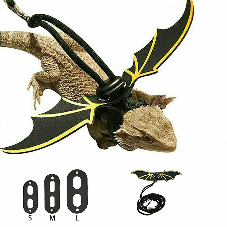 

Регулируемый поводок в виде ящерицы, Тяговая веревка для рептилий, Гекко, с медведем, дракон, поводок-крылышки, товары для домашних животных