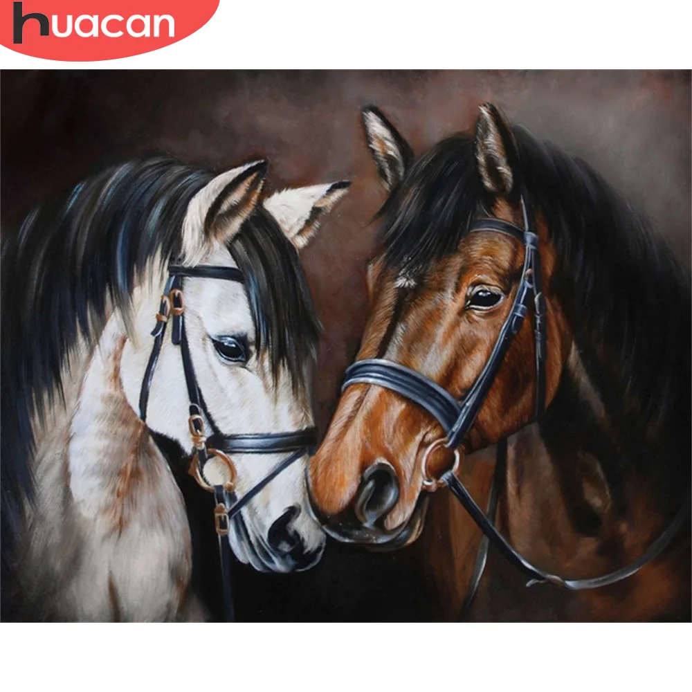 

HUACAN Painting By Number Horse Animal Hand Painted Wall Art DIY Frame Picture By Numbers Canvas For Living Room