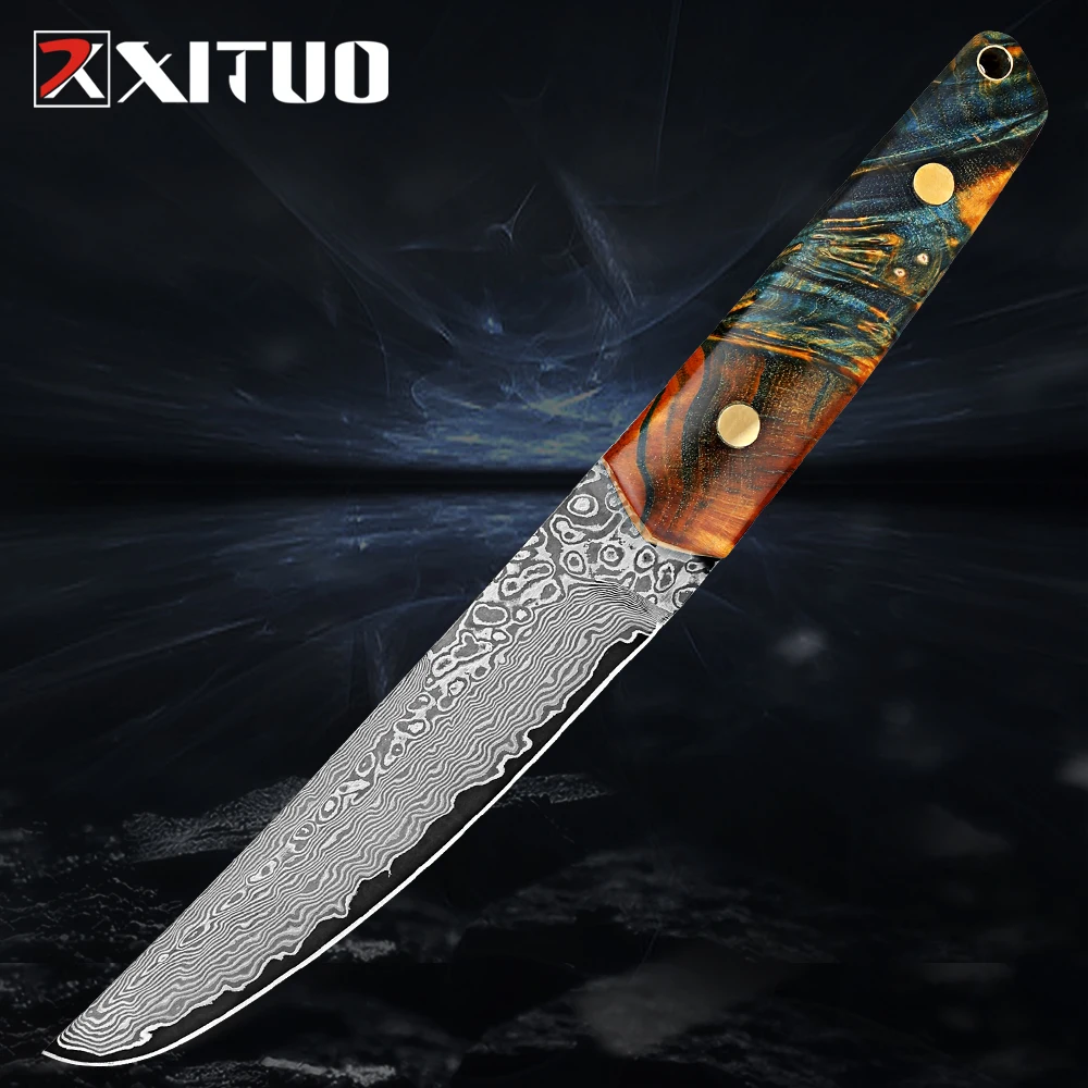 

Handmade Damascus Kitchen Utility knife Hunting Knife for Chopping Meats Fixed Blade Bushcraft Knife with Stabilised wood Handle