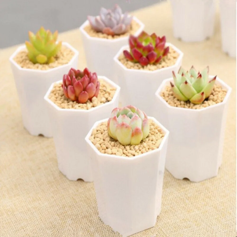 

Container Flower Pots Garden Planter 7.2 x 6.8 x 5 cm Polygon Decor Mini