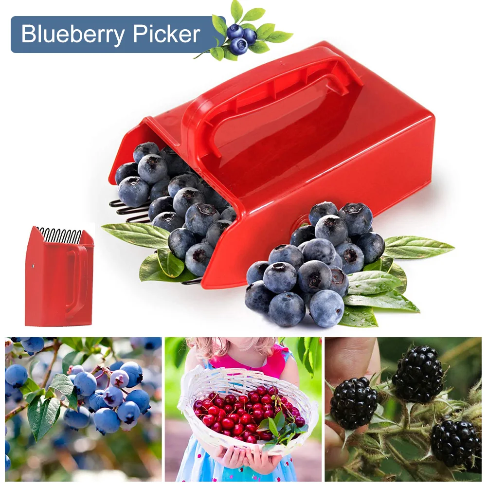 Berry Picker with Metallic Comb Blueberry Picker Rake Ergonomic Handle Fruit Collecting Picking Scoop Garden Tool Easy Cleaning