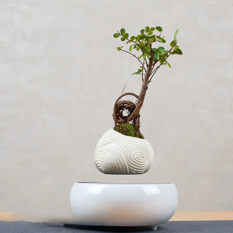 

Maglev Pot Plant Aerial Suspension Bonsai Creative Aerial Potted Plant Decoration Magnetic Suspension Self-Rotating Potted Plant
