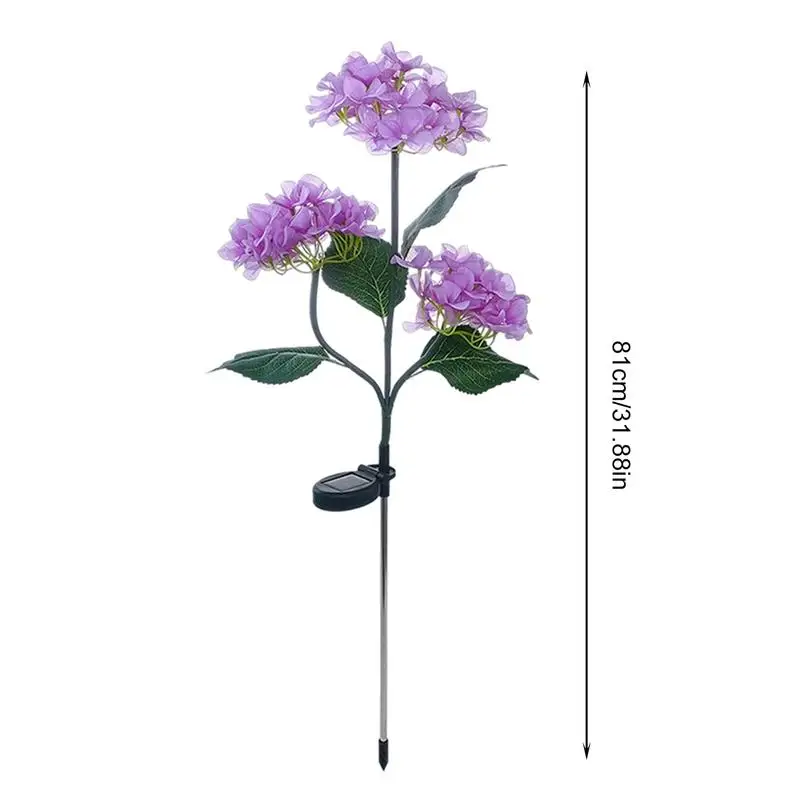 Рисунок 6 - Цветы, яркие декоративные солнечные цветы