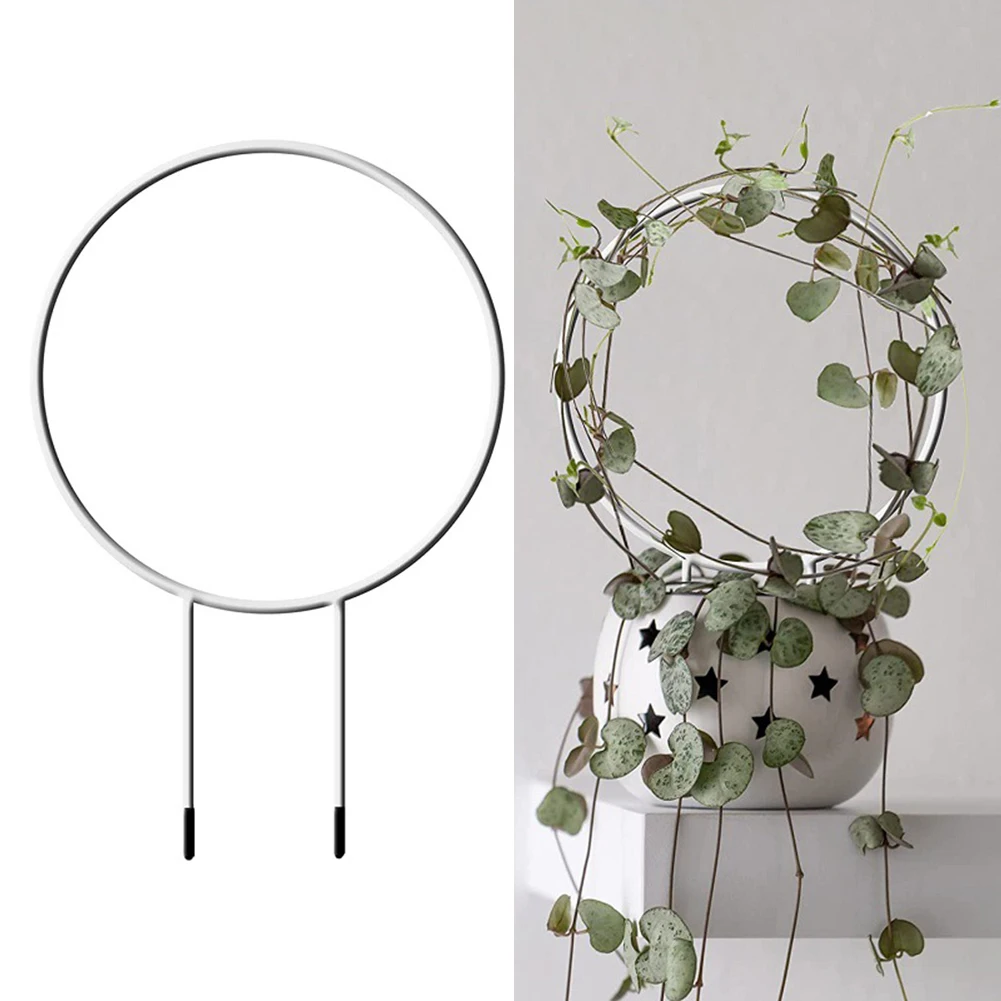 

Garden Plant Support Stake Stand Hexagonal Round Vine Climbing Rack Flower Plant Trellis Support Frame Steel Plastic
