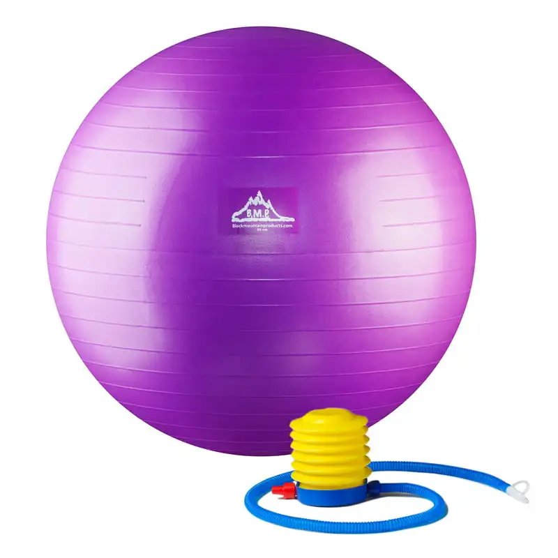 

Professional Grade Stability Ball - Pro Series 1000lbs Anti-burst 2000lbs Static Weight Capacity 55cm Purple