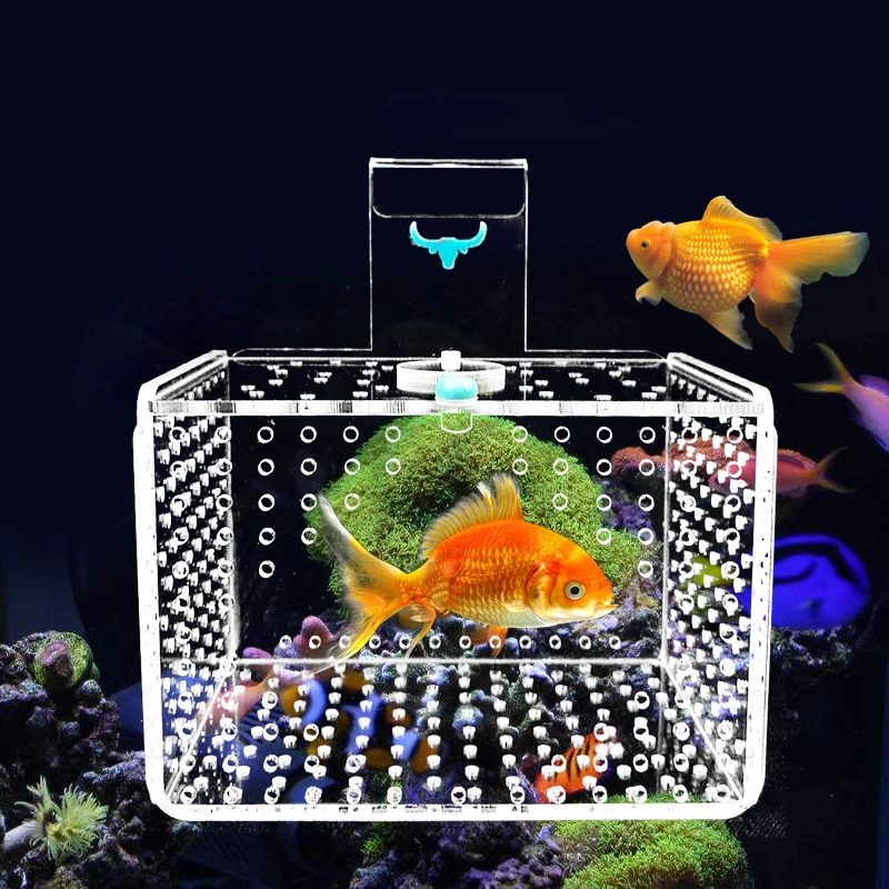 

Fish Tank Isolation Box Protect Small Fish Suspended Acrylic Aquarium Rear Breeding Box Peacock Fighting Fish Fry Hatching Box