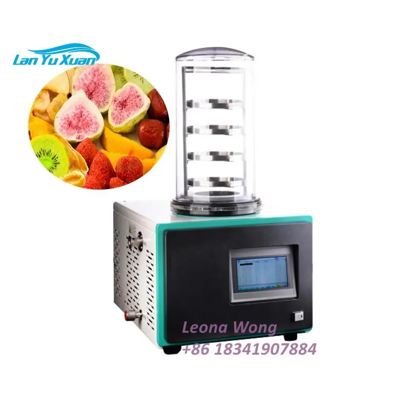 Laboratory Mini Vacuum Lyophilizer Freeze Dryer for Sale Lab Use Vacuum Fruit Vegetable Insect Flower Tea Lyophilizer